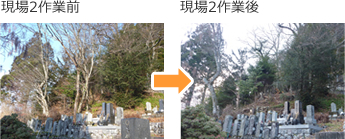 支障木伐採 施工前/施工後_2 支障木伐採 施工前/施工後_2