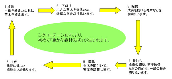 森林整備事業イメージ 森林整備事業イメージ