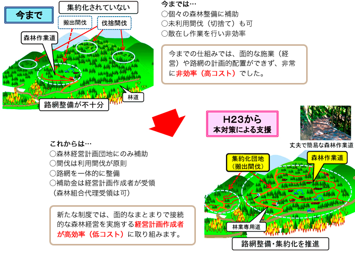 森林管理と補助金の仕組み 森林管理と補助金の仕組み